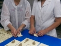 stagii_practica_08.jpg
